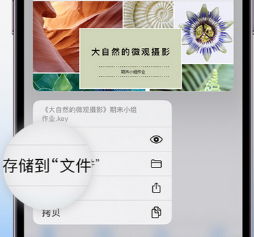 赤壁apple维修中心分享iPhone文件应用中存储和找到下载文件