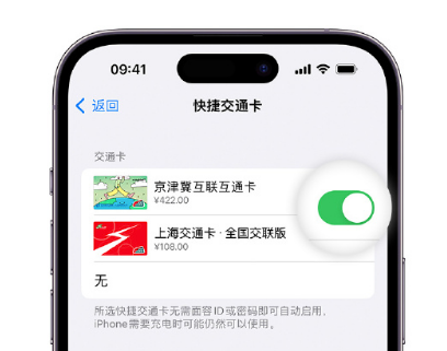 赤壁apple维修点分享iPhone上更换Apple Pay快捷交通卡手绘卡面 