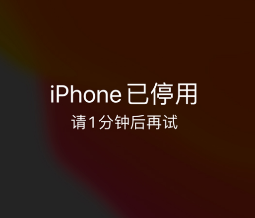 赤壁苹果手机维修分享:iPhone 显示“不可用”或“已停用”怎么办？还能保留数据吗？ 