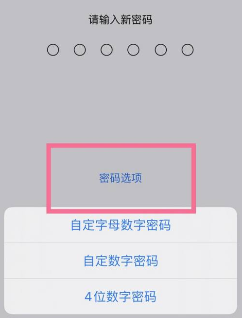 赤壁苹果14维修分享iPhone 14plus设置密码的方法 