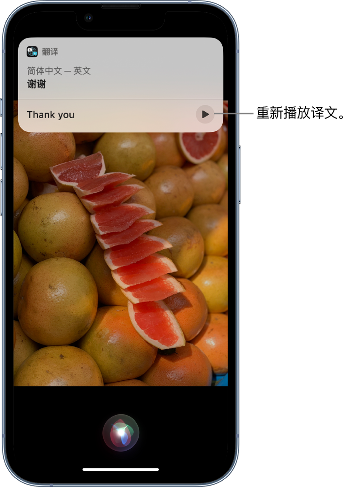 赤壁苹果14维修分享 iPhone 14 机型中使用 Siri：了解 Siri 能帮你做什么 