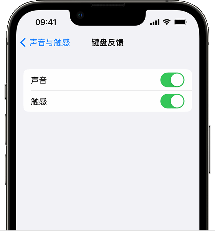 赤壁苹果14维修分享iPhone 14 系列机型如何开启键盘声音或触感反馈 