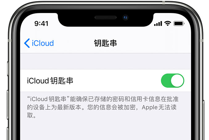 赤壁苹果手机维修分享在 iPhone 上开启 iCloud 钥匙串之后会储存哪些信息 