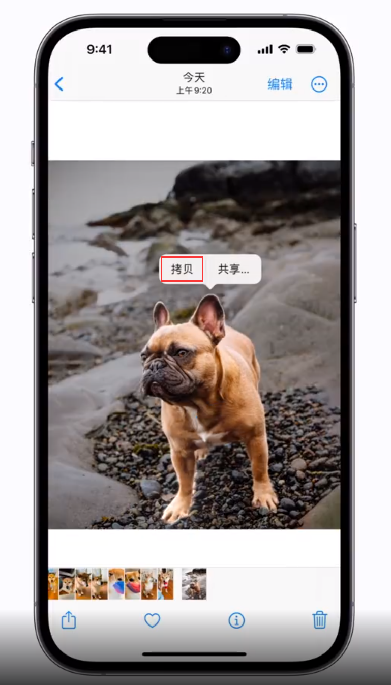 赤壁苹果手机维修分享 iOS 16 自带一键抠图功能 
