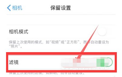 赤壁苹果13维修分享iPhone13拍照有绿点是怎么回事 