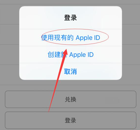 赤壁苹果手机维修分享两台iPhone设备可以同时登录一个Apple ID吗 