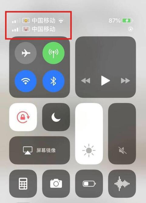 赤壁苹果手机维修分享为 iPhone 12 双卡设置标签 