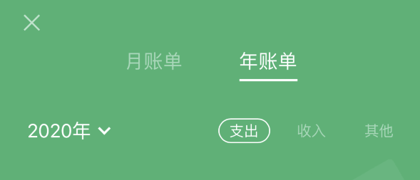赤壁苹果手机维修分享如何在 iPhone 上查看支付宝和微信年支出账单 