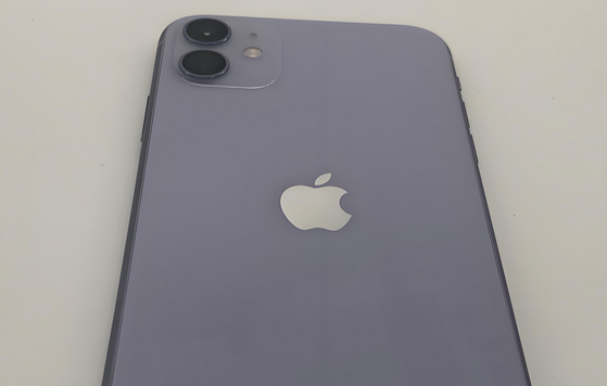 赤壁苹果11系统维修分享iPhone11手机系统崩溃无法开机如何解决 